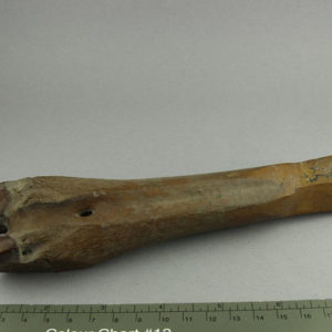 Ancient Egyptian worked bone