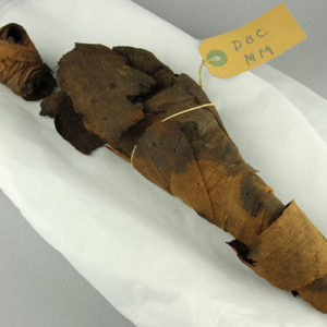 Ancient Egyptian mummified hawk