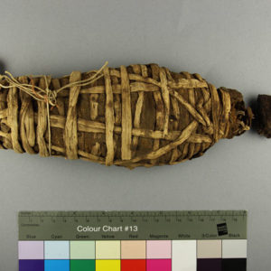 Ancient Egyptian mummified hawk