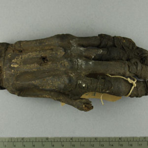 Ancient Egyptian mummified human hand