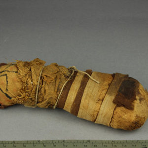 Ancient Egyptian mummified cat dated 332 – 30 BC