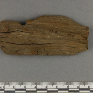 Ancient Egyptian wood fragment from Amarna dated 1550 – 1069 BC