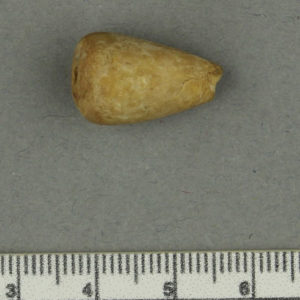 Ancient Egyptian shell