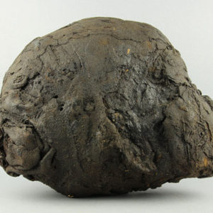 Ancient Egyptian mummified human head