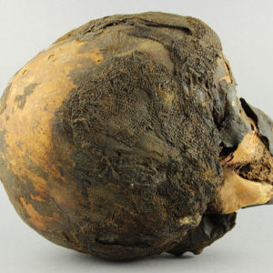 Ancient Egyptian mummified human head