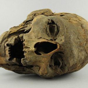 Ancient Egyptian mummified human head