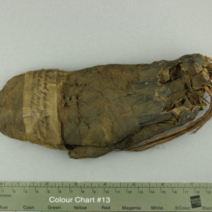 Ancient Egyptian mummified human hand