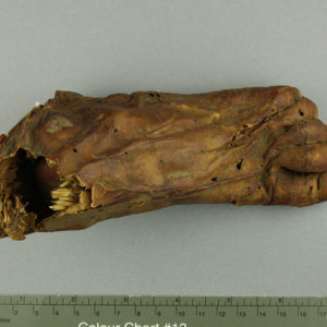 Ancient Egyptian mummified human foot and linen dated 664 – 332 BC