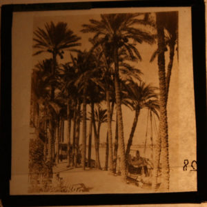 Supporting material lantern slide dated AD 1900s