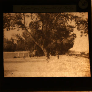 Supporting material lantern slide dated AD 1900s