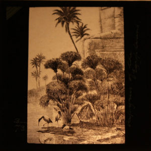 Supporting material lantern slide dated AD 1900s